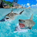 鲨鱼捕猎手