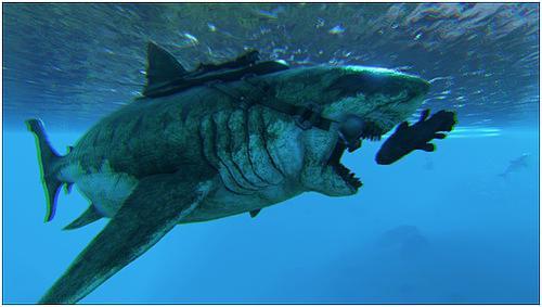 方舟生存进化巨齿鲨怎么驯服    巨齿鲨驯服方法介绍