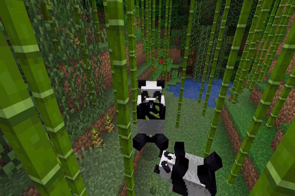 我的世界中熊猫有什么用   熊猫生物介绍