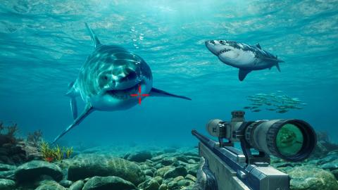 水下鲸鲨狙击