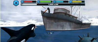 终极虎鲸模拟器