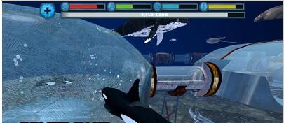 终极虎鲸模拟器