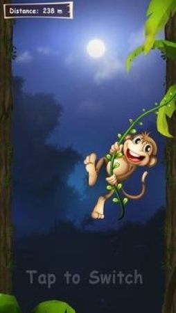 丛林猴子
