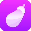 茄子视频app免费安装