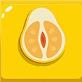 柚柚直播app安卓版